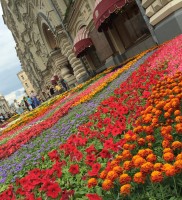 flowers near Red Square